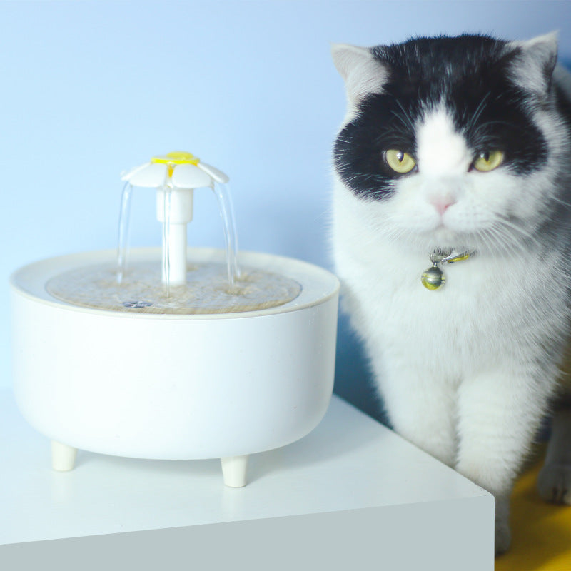 New pet water dispenser automatic circulation filter cat water dispenser intelligent pet water feeder flowing water kitten