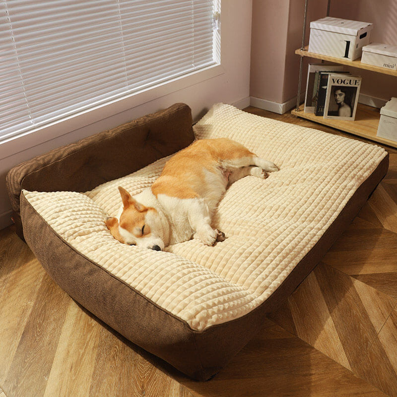 All Seasons Thickened Large Washable Cat & Dog Pillow Bed - Pawhearth
