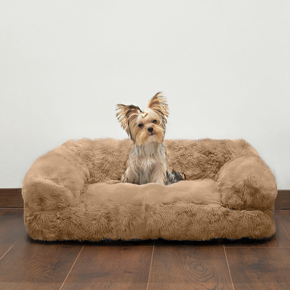 Fluffy Plush Thickened Cozy Pet Calming Bed Dog Cat Sofa Bed - Pawhearth