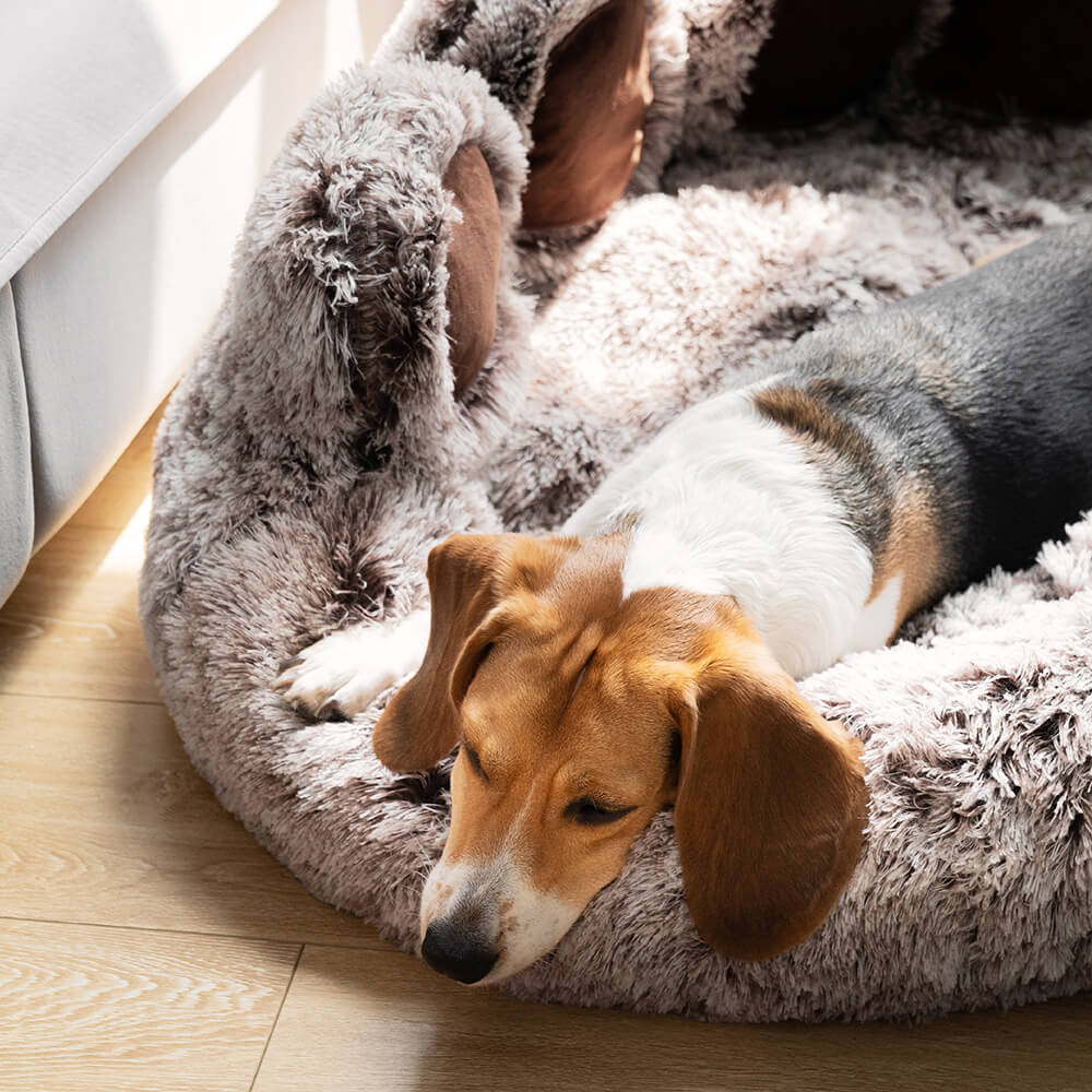 Large Round Dog Bed - Fuzzy Paw - Pawhearth