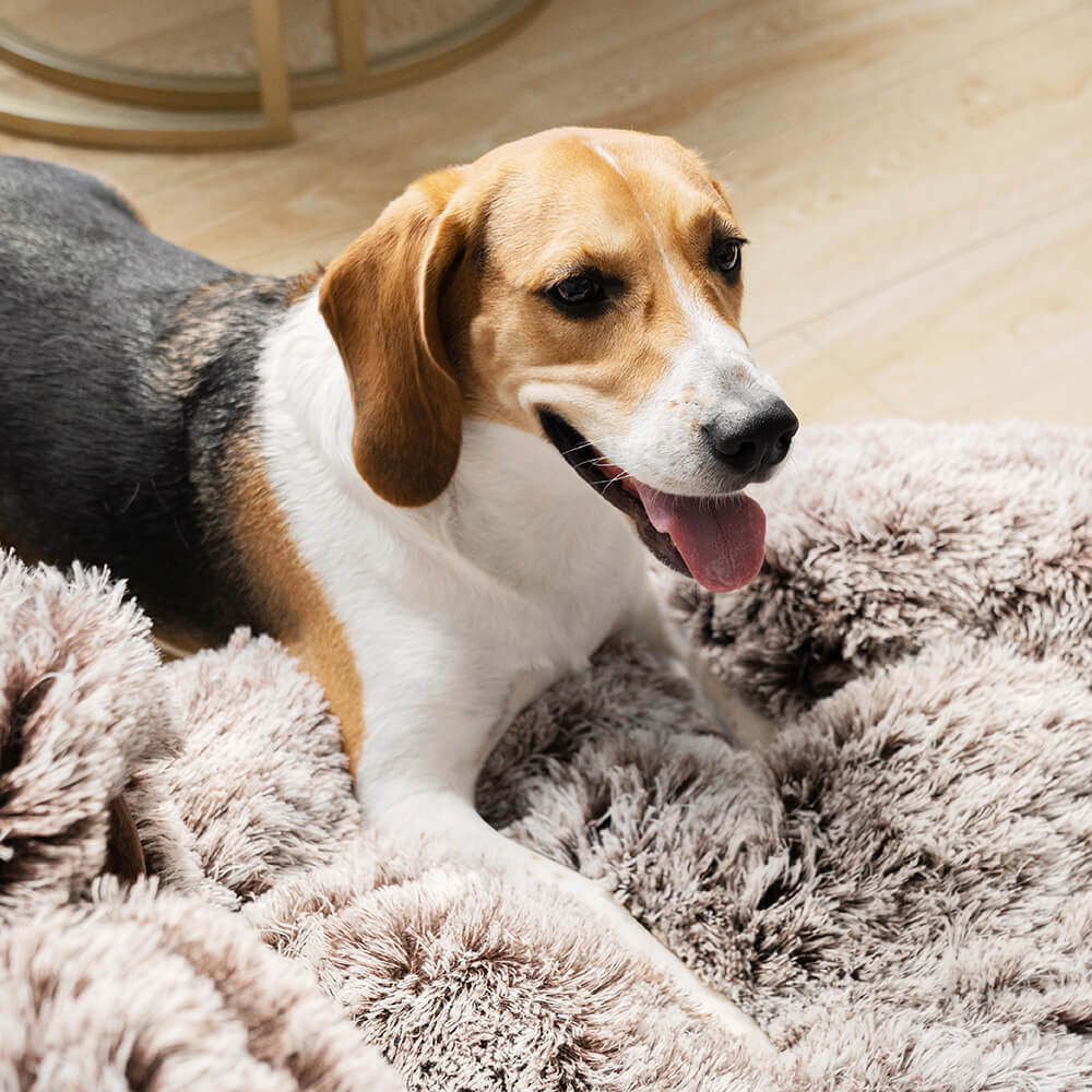 Large Round Dog Bed - Fuzzy Paw - Pawhearth