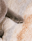 Nordic Fluffy Extra Large Cozy Dog & Cat Sofa Bed - Pawhearth