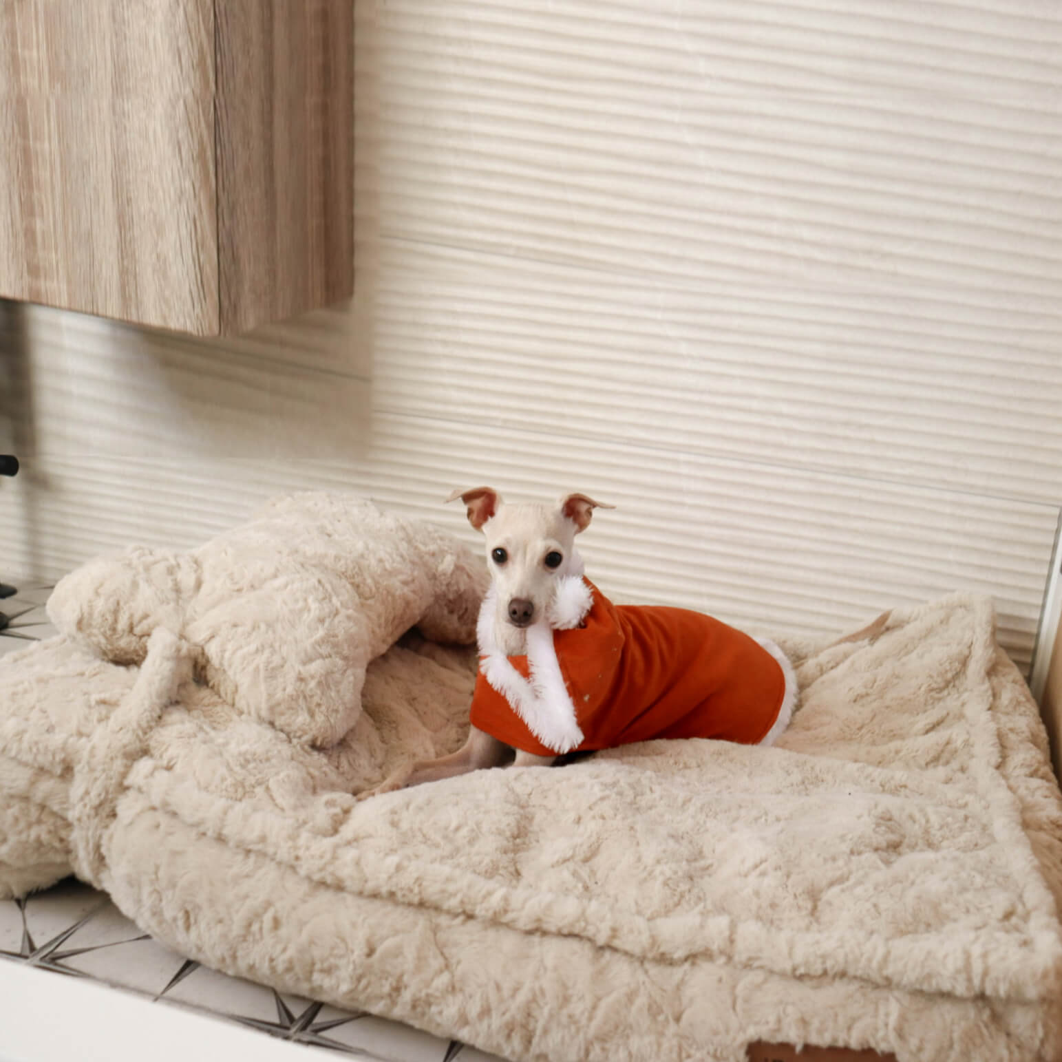 Warming Fluffy Bone Cloud Shape Calming Dog Bed - Pawhearth