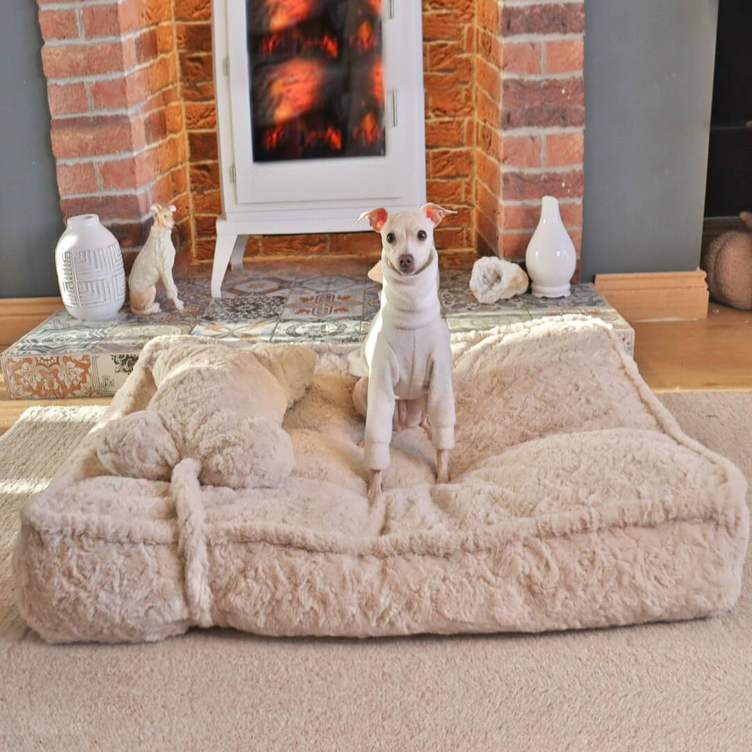 Warming Fluffy Bone Cloud Shape Calming Dog Bed - Pawhearth