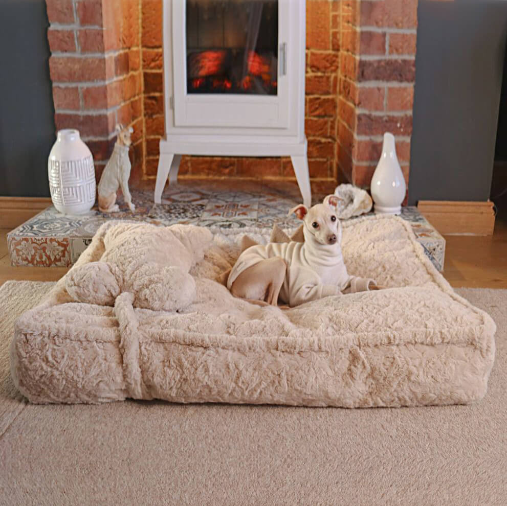 Warming Fluffy Bone Cloud Shape Calming Dog Bed - Pawhearth
