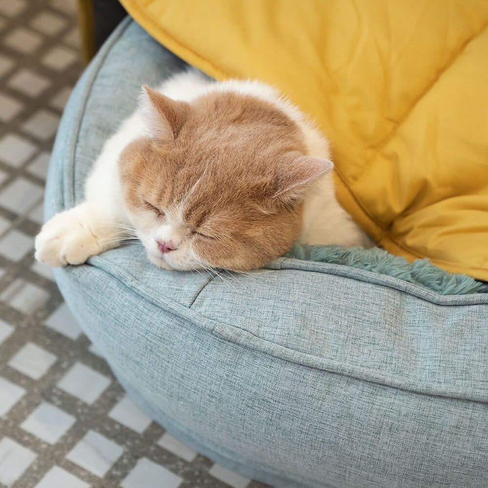 Donut Fluffy Orthopedic Dog Bed - Pawhearth
