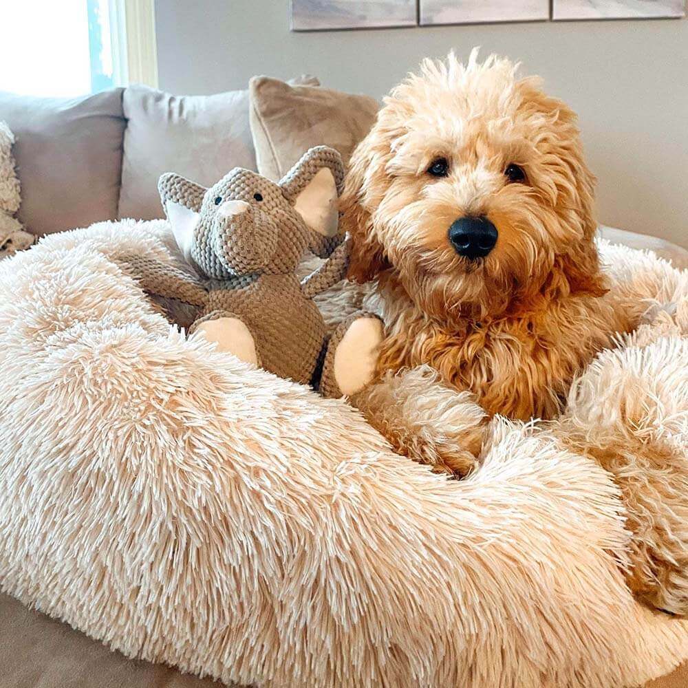 Fuzzy Round Fluffy Dog Bed - Pawhearth