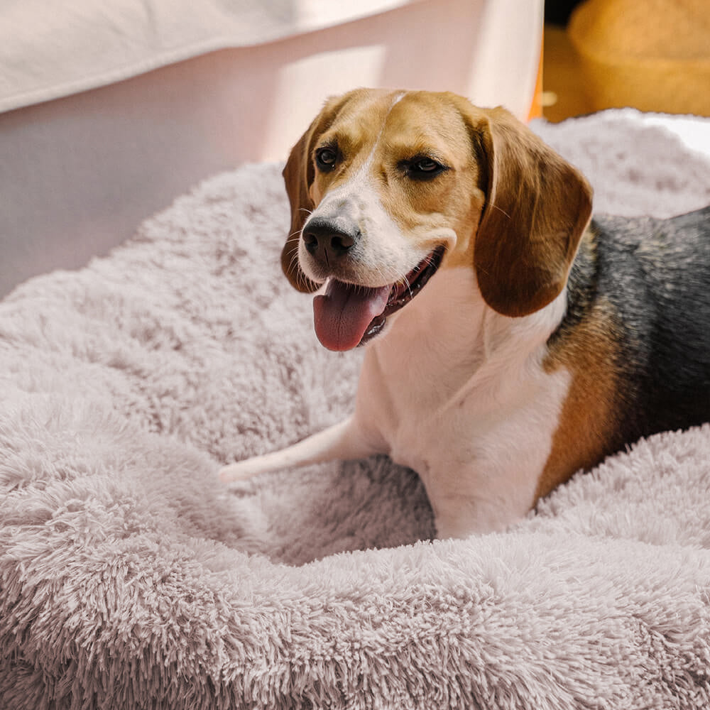 Fuzzy Round Fluffy Dog Bed - Pawhearth