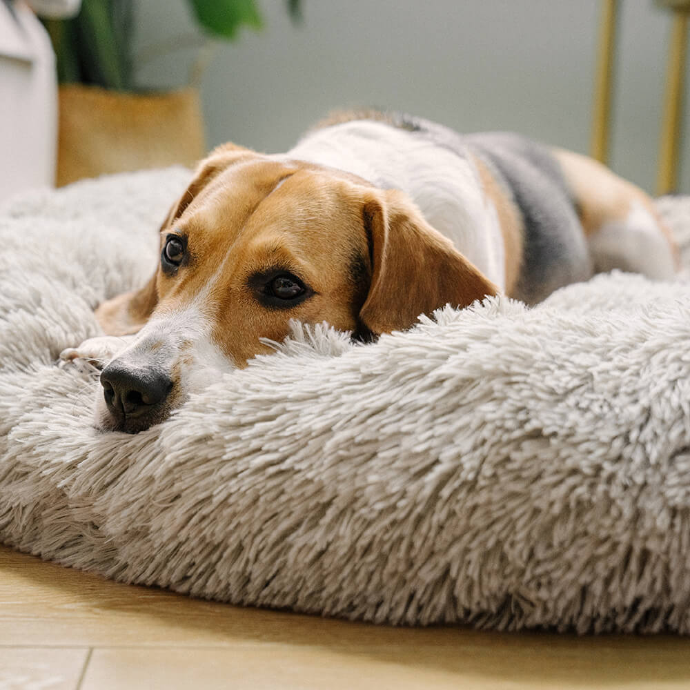 Fuzzy Round Fluffy Dog Bed - Pawhearth