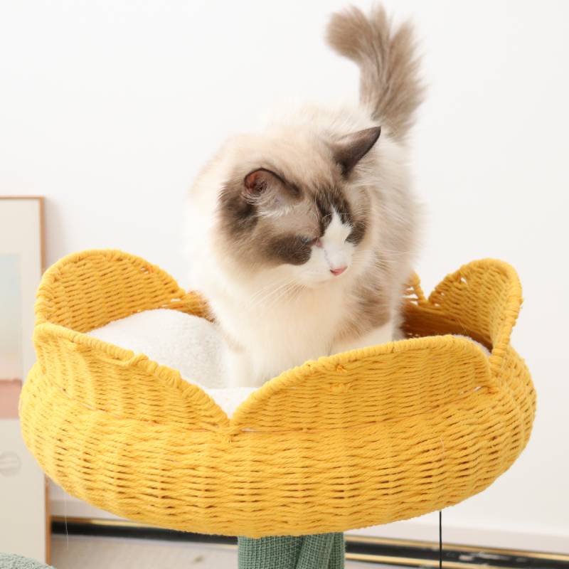 Yellow Tulip Cat Tree