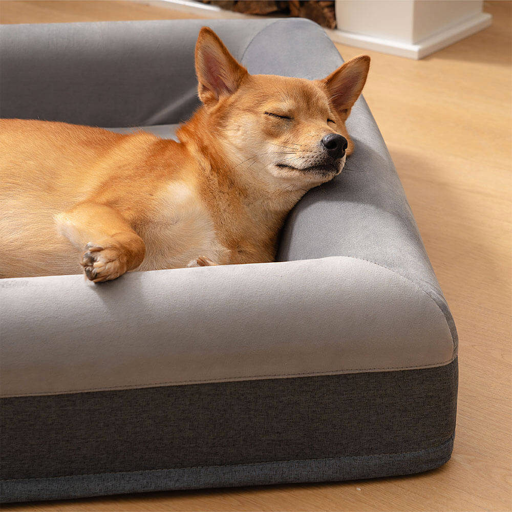 Premium Orthopedic Dog Bed Blissful Sleep With Joyful Play Digging Bed - Pawhearth