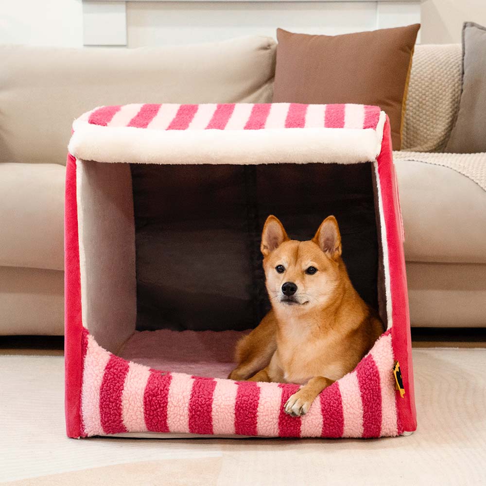 Trendy Striped House Orthopedic Dog Bed - Cozy Hideaway - Pawhearth