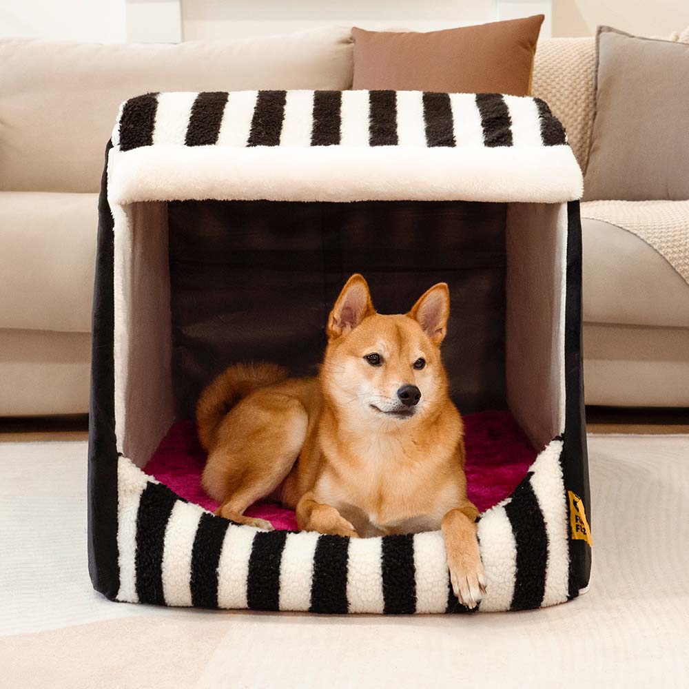 Trendy Striped House Orthopedic Dog Bed - Cozy Hideaway - Pawhearth