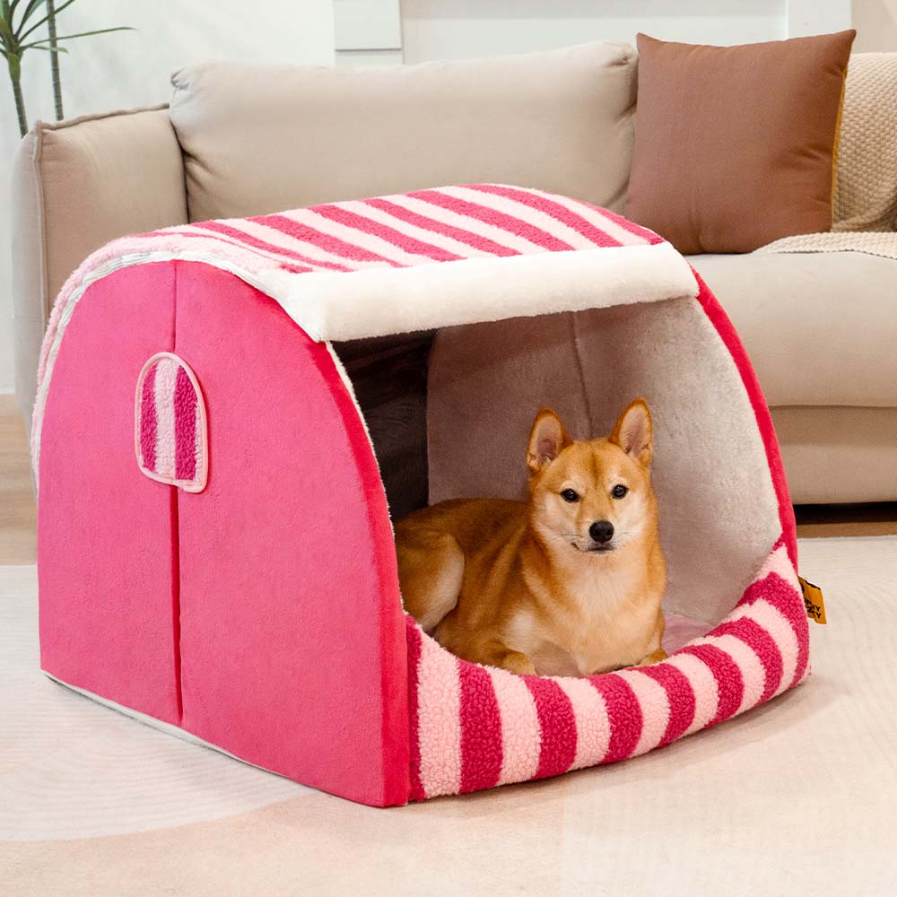 Trendy Striped House Orthopedic Dog Bed - Cozy Hideaway - Pawhearth