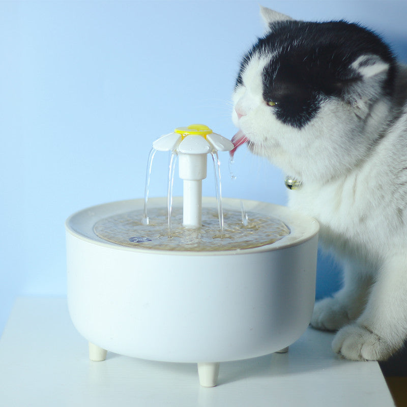 New pet water dispenser automatic circulation filter cat water dispenser intelligent pet water feeder flowing water kitten