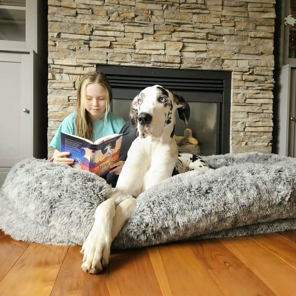 Luxury Super Large Sleep Deeper Oval Bed Human Dog Bed - Pawhearth