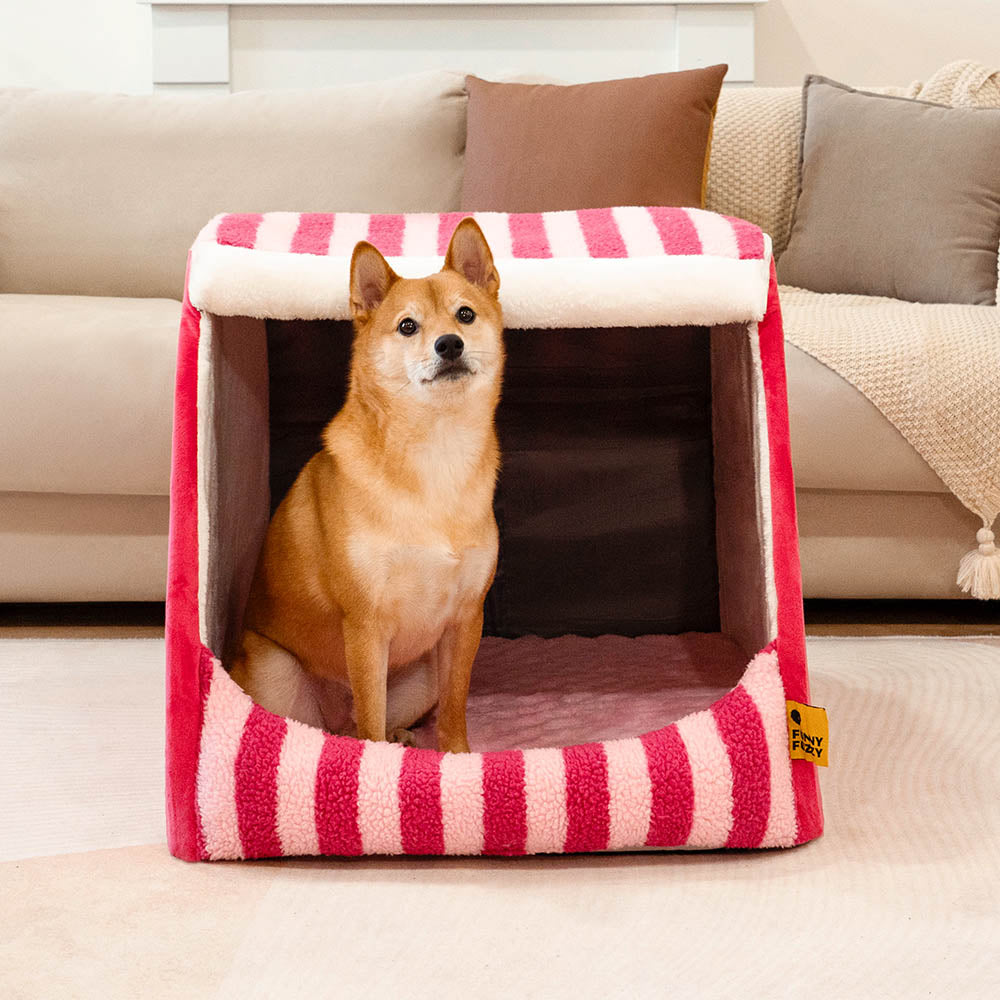 Trendy Striped House Orthopedic Dog Bed - Cozy Hideaway - Pawhearth