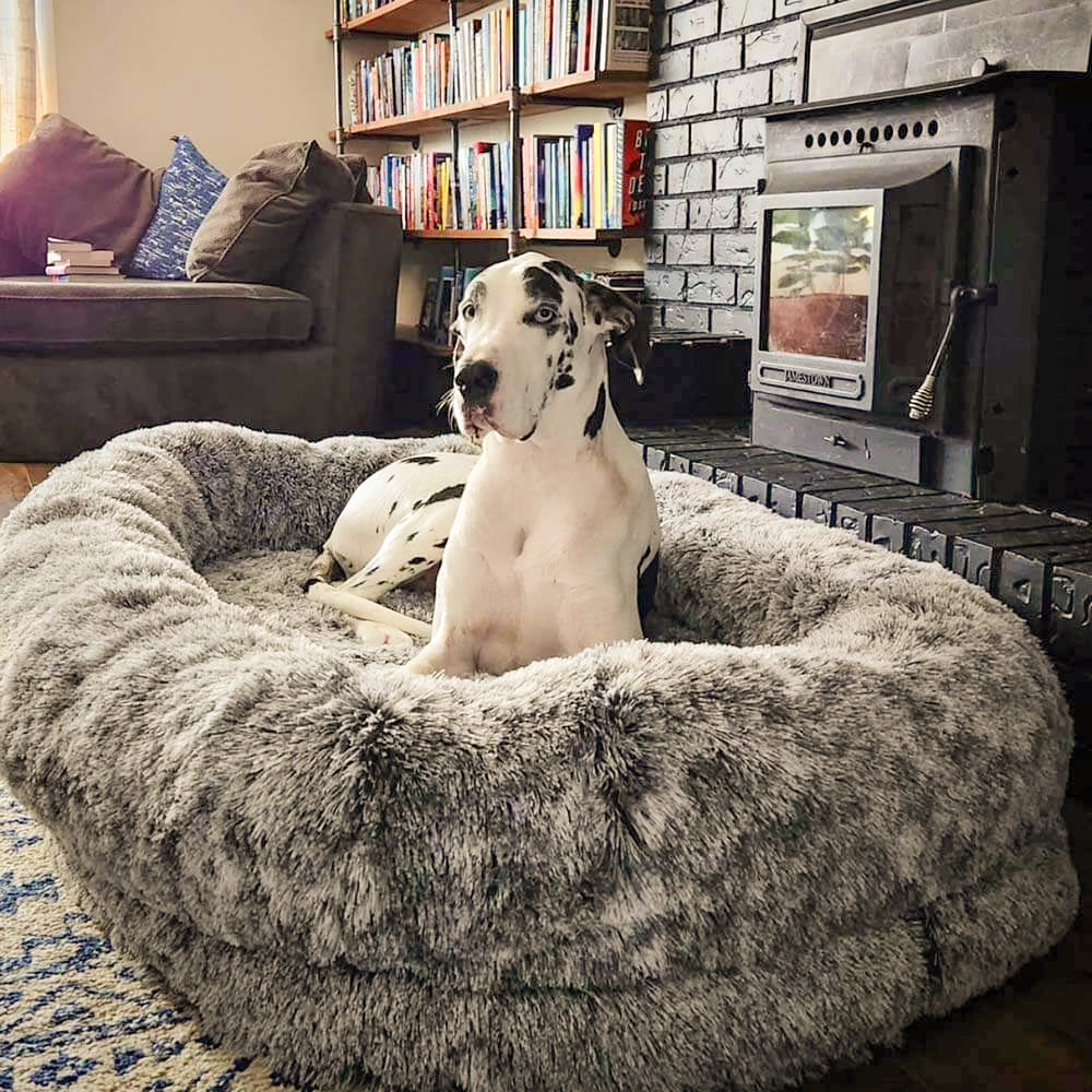 Luxury Super Large Sleep Deeper Oval Bed Human Dog Bed - Pawhearth