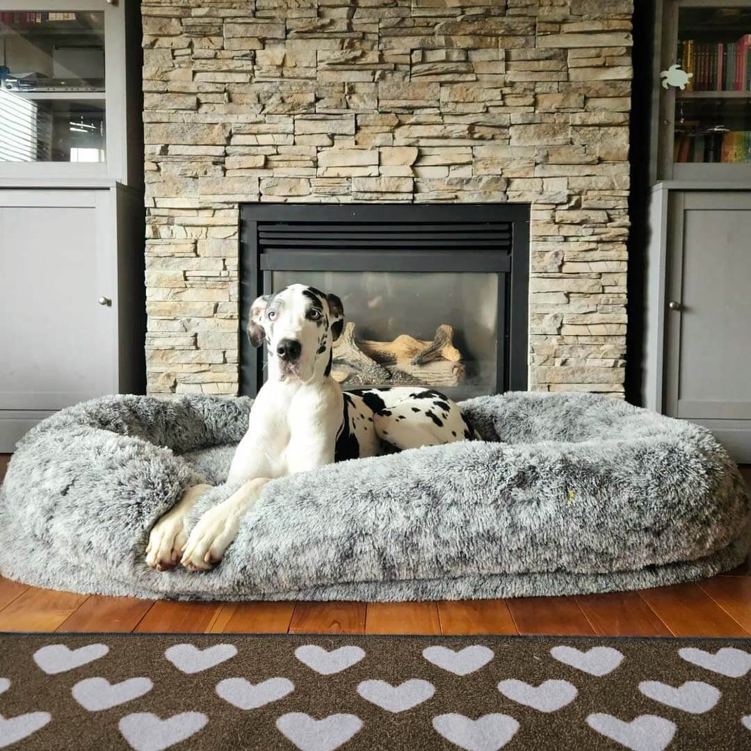 Luxury Super Large Sleep Deeper Oval Bed Human Dog Bed - Pawhearth